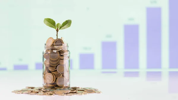 Gouden Turkse Munten Munten Planten Pot Achtergrond Economische Tabel Indicator — Stockfoto