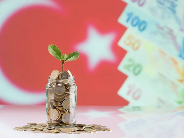 Turkish Coins Jars Plants Jar Turkish Coins Savings Finance Concept — Stock Photo, Image