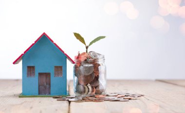 Kovanda yığınla para, bitki ve bozuk para var. Gelecekte ev ya da mülke yatırım yapmak için para biriktiriyorum. İş Finans Konsepti.