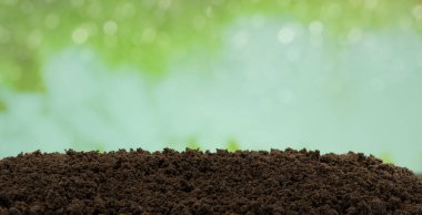 Brown soil surface with green background clipart