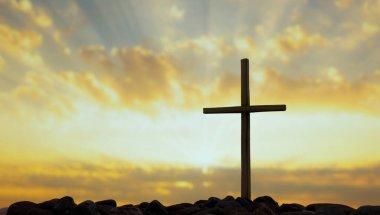 Stone Hill Cross 'taki orijinal doğal ağaçlar.