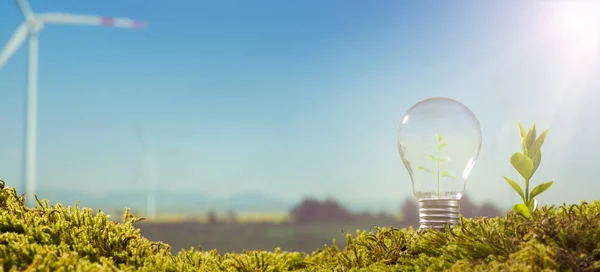 Sauberes Energiekonzept Lampe Und Jungpflanze Auf Moos Hintergrund Der Windkraftanlagen lizenzfreie Stockfotos