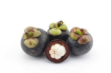 Mangosteen beyaz üzerine izole