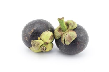 Mangosteen beyaz üzerine izole