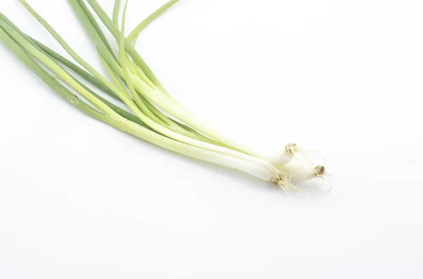 Cebolla de primavera aislada en blanco — Foto de Stock