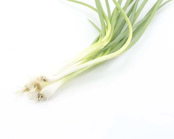 Cebolla de primavera aislada en blanco — Foto de Stock