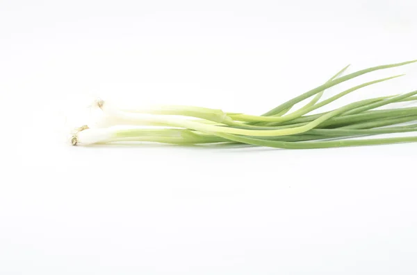 Cebolla de primavera aislada en blanco — Foto de Stock