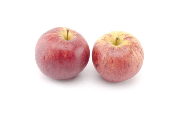 Two red apples — Stock Photo, Image