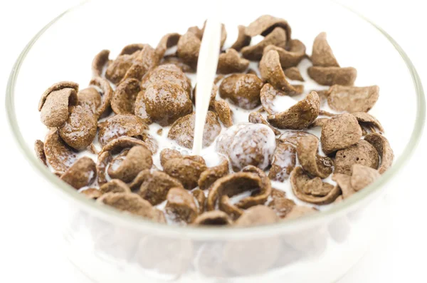 Cereales aislados en blanco — Foto de Stock