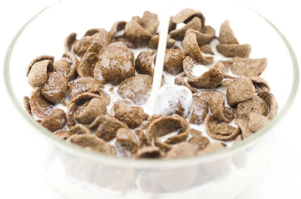 Cereals with milk in a bowl — Stock Photo, Image
