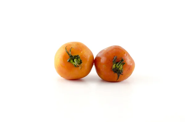 Dua tomat jelek — Stok Foto