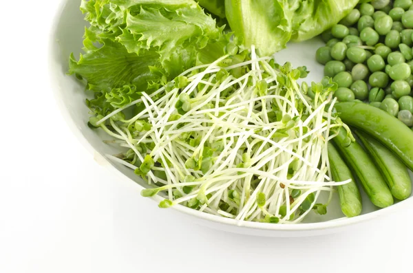 Green vegetable on white dish isolated on white background — Stock Photo, Image