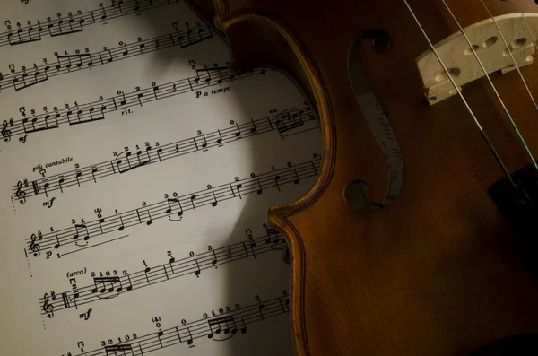 Violino em estilo vintage — Fotografia de Stock