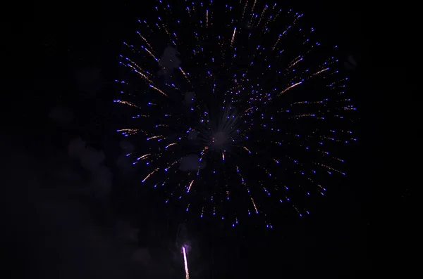 Fireworks at night — Stock Photo, Image