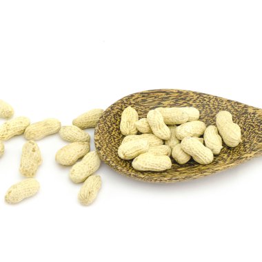 kavrulmuş yer fıstığı 