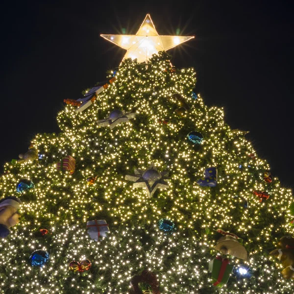 Iluminación del árbol de Navidad — Foto de Stock