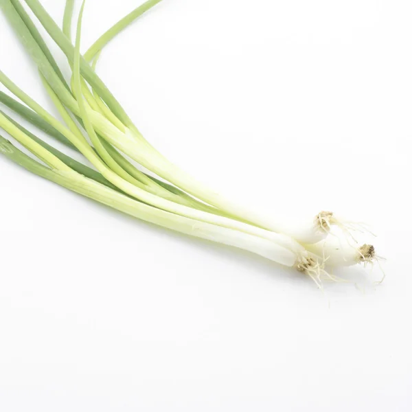 Spring onion isolated on white — Stock Photo, Image