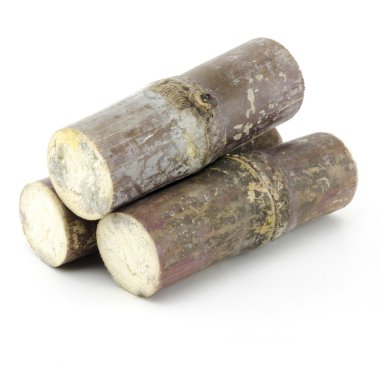 Üç şeker köpekler üzerinde beyaz izole