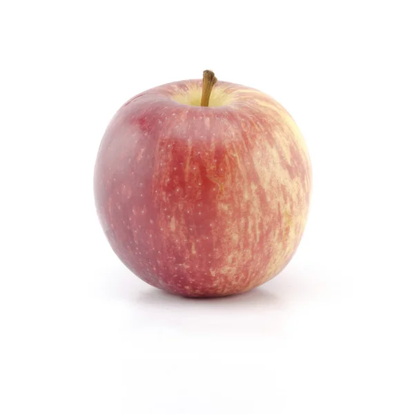 白色衬底上分离出的单个苹果 — 图库照片
