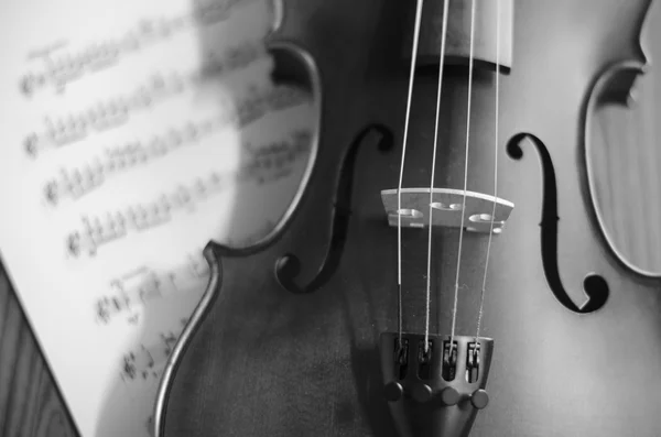 Чорно-біла скрипка — стокове фото