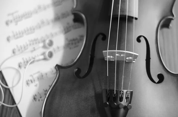 Violino bianco e nero — Foto Stock