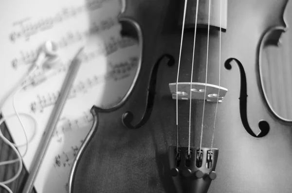 Черно-белая скрипка — стоковое фото
