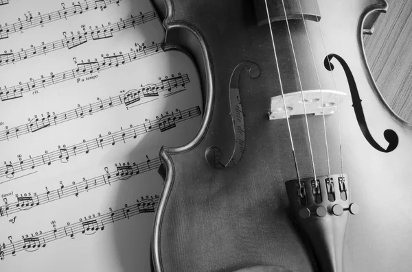 Violín blanco y negro — Foto de Stock