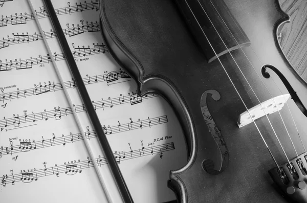 黒と白のヴァイオリン — ストック写真
