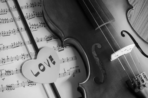 Black and white violin — Stock Photo, Image