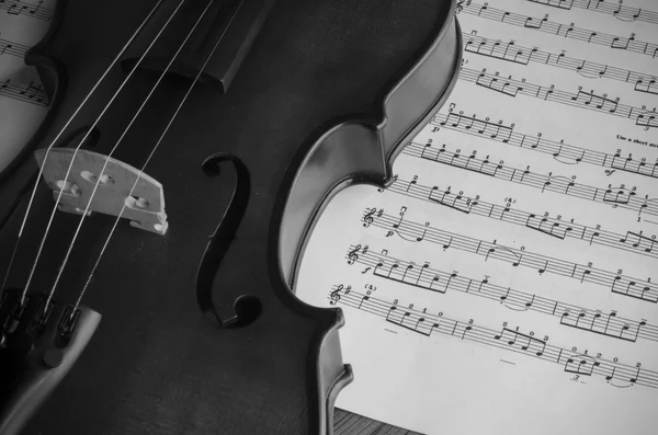 Μαύρο και άσπρο βιολί — Φωτογραφία Αρχείου