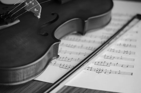 Violín blanco y negro — Foto de Stock