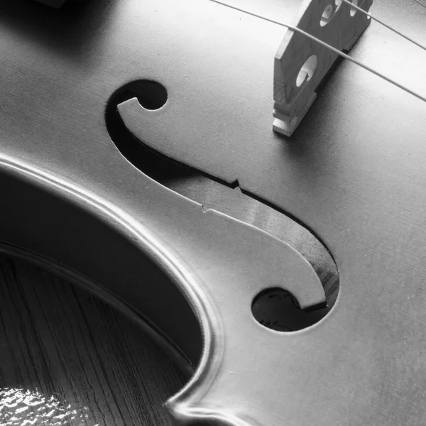 Fekete-fehér hegedű — Stock Fotó