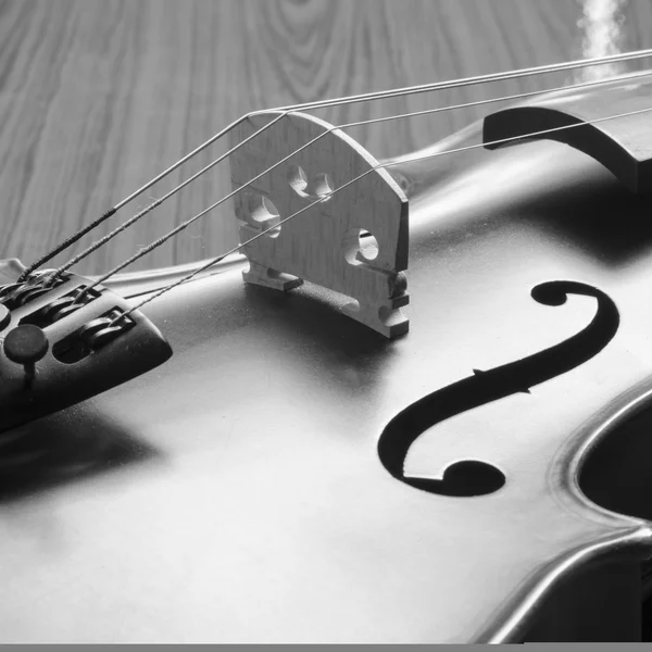 Black and white violin — Stock Photo, Image