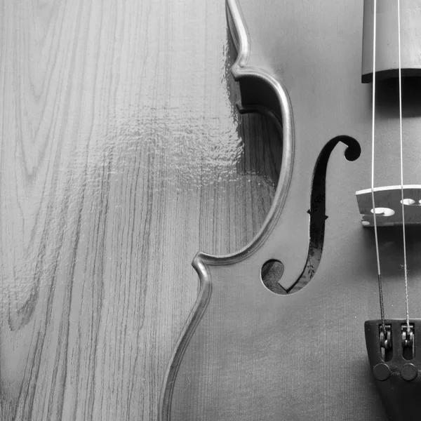 Black and white violin — Stock Photo, Image