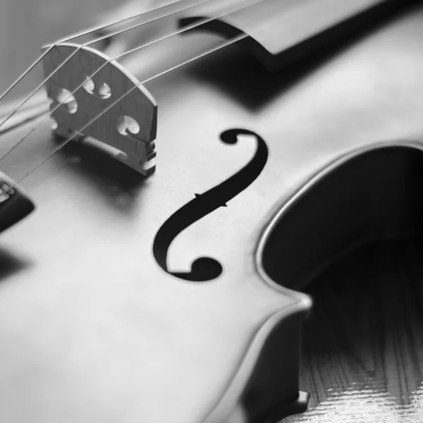 Violín blanco y negro — Foto de Stock