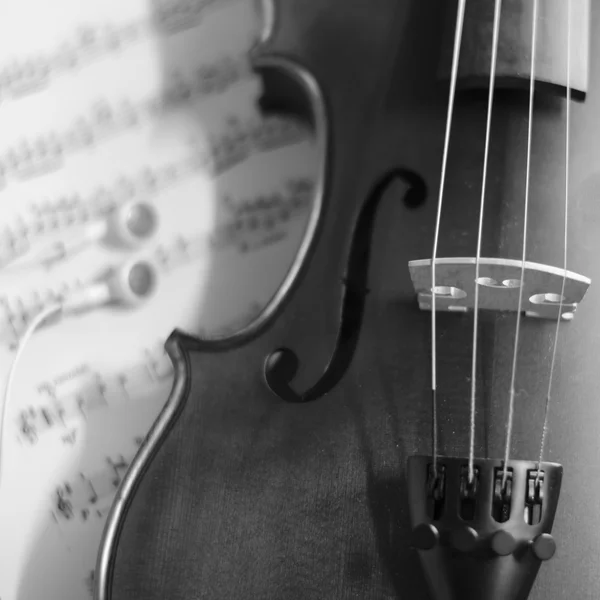 Violino bianco e nero — Foto Stock