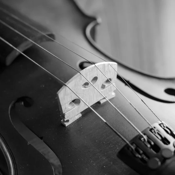 Black and white violin — Stock Photo, Image