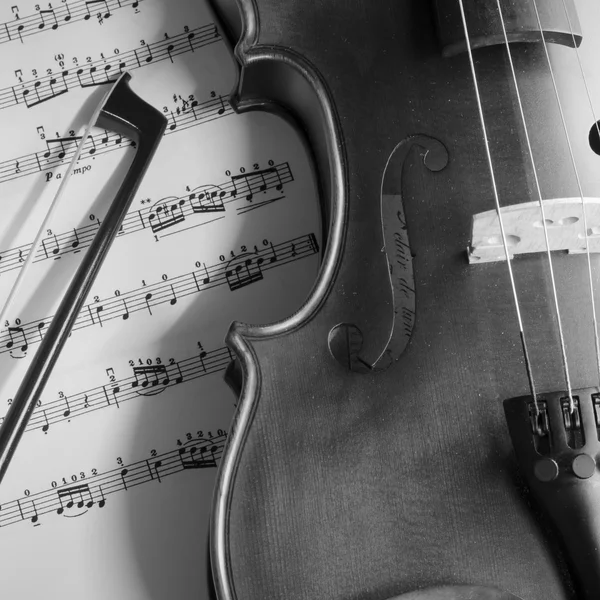 黑色和白色小提琴 — 图库照片