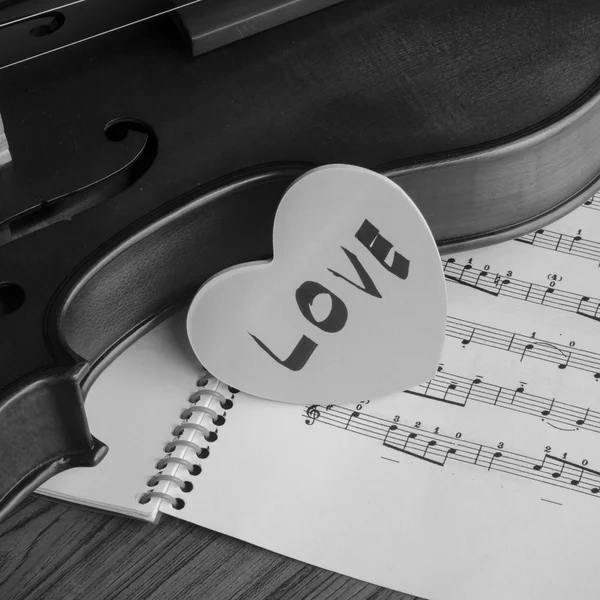 Black and white violin — Stock Photo, Image