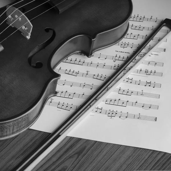 Violín blanco y negro — Foto de Stock