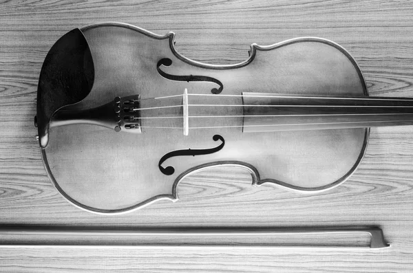 Violino preto e branco — Fotografia de Stock