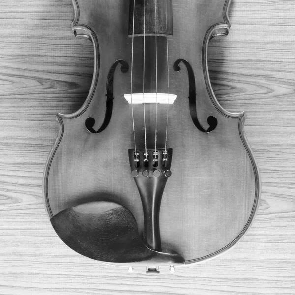 Violino preto e branco — Fotografia de Stock