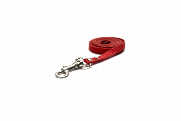 Pink Dog Leash — Stock Photo © herreid #2159146