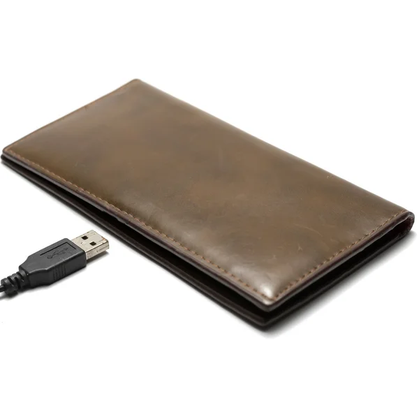 Usb 케이블 및 지갑 — 스톡 사진
