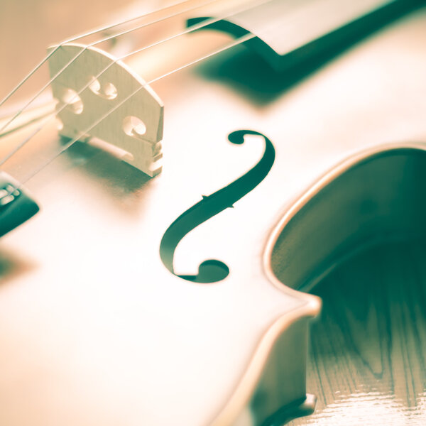 скрипка на деревянном фоне
