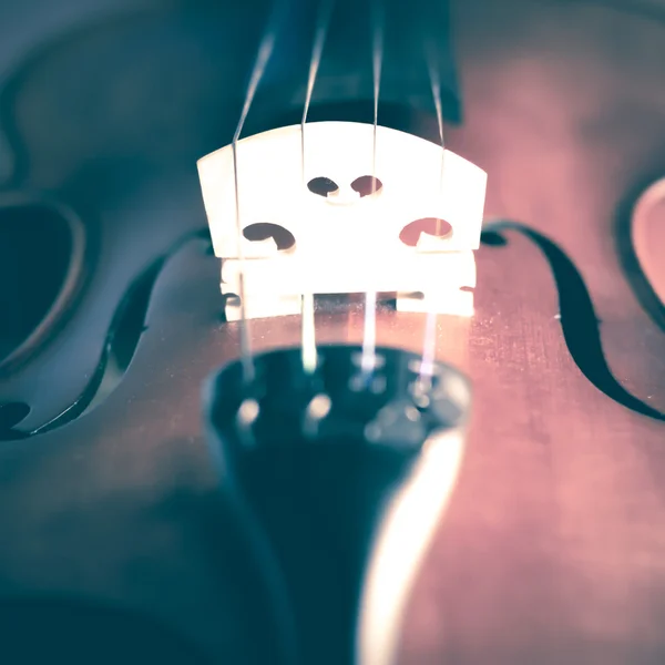 Time to practice violin — Stock Photo, Image