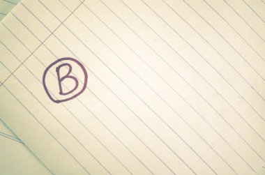 sınıf b