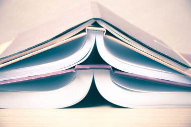 Açık kitap ve kalem