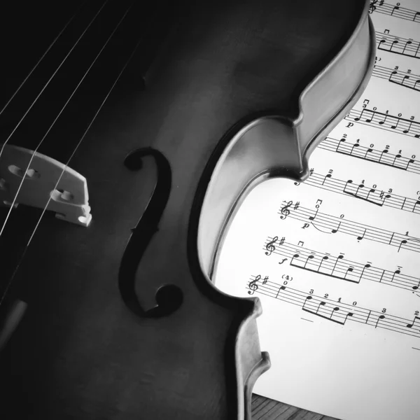 Čas na praxi housle černé a bílé barvy tónu styl — Stock fotografie