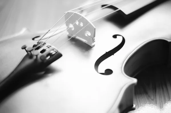 Violin on wood background black and white color tone style — Stock Photo, Image